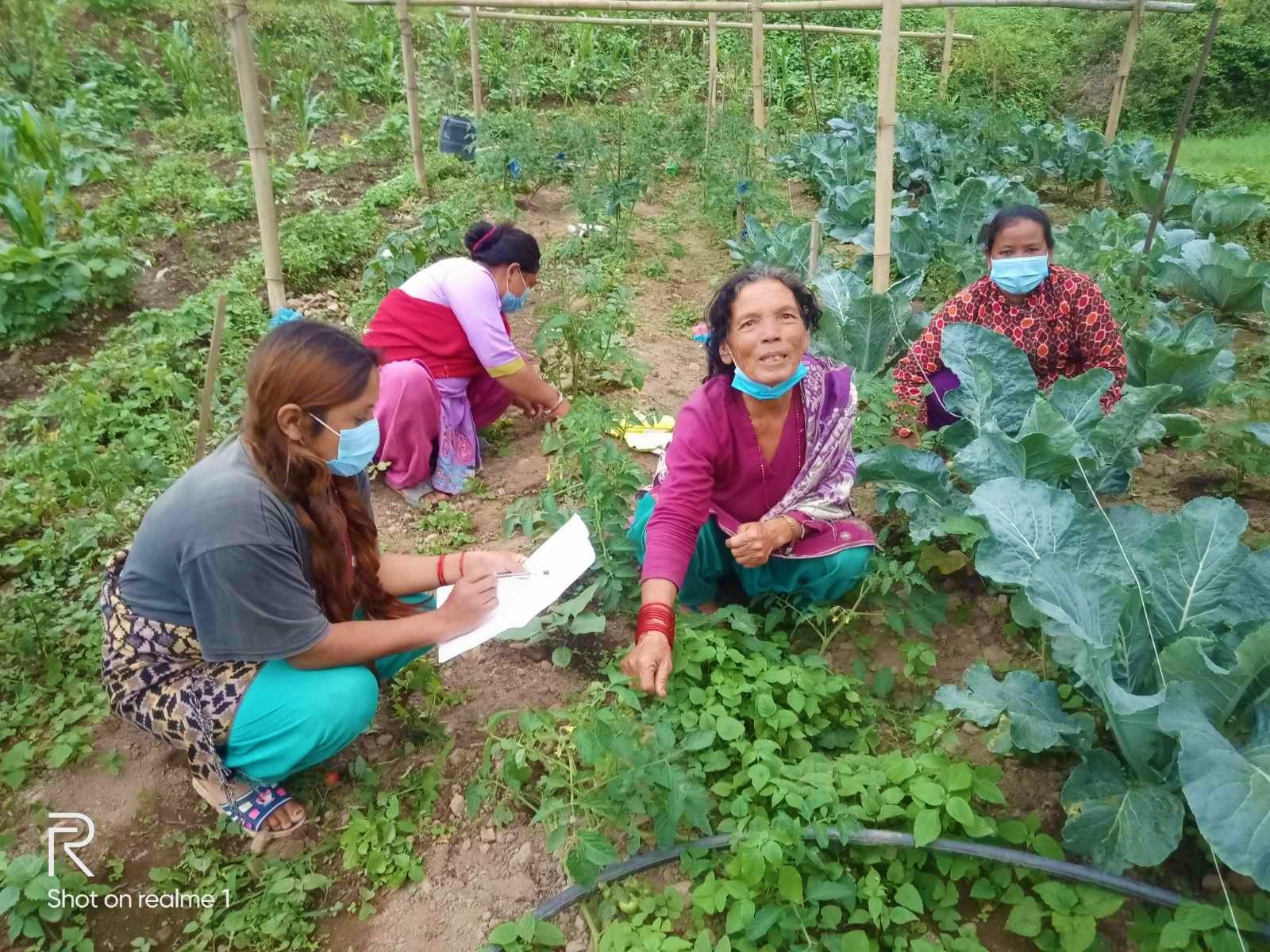 Diversified vegetable production for food security and income project